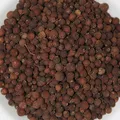 Allspice, nota de perfume