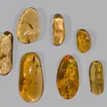 Amber Oil, nota de perfume