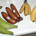 Banana, nota de perfume