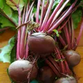 Beetroot, nota de perfume
