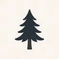 Blackwood, nota de perfume