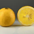 Bergamota de Calabria, nota de perfume
