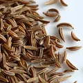 Alcaravea, nota de perfume