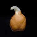 Chickpeas perfume note