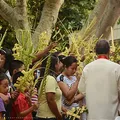 Coco, nota de perfume