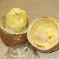 Cupuassu perfume note