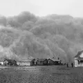 dust, nota de perfume