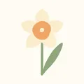 French Narcissus, nota de perfume