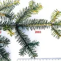 Fresh Evergreen, nota de perfume