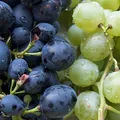 Grapes, nota de perfume