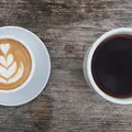 Green Coffee, nota de perfume