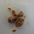 Gurjan balsam, nota de perfume