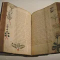 Herbal Notes, nota de perfume