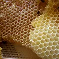 honeycomb, nota de perfume