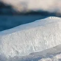 Ice, nota de perfume