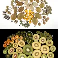 Kiwi, nota de perfume