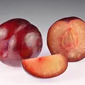 Mirabella Plum, nota de perfume