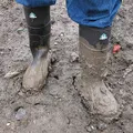 Mud perfume note