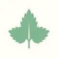 Nettle, nota de perfume