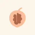 nutty notes, nota de perfume