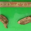 Orris Root, nota de perfume