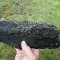 Peat, nota de perfume