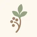 Peppertree, nota de perfume