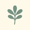 Pitosporum, nota de perfume