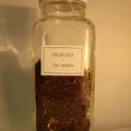 Propolis, nota de perfume