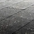 rain notes, nota de perfume