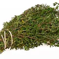 Red Thyme, nota de perfume