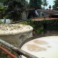 Rhum Agricole, nota de perfume