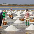 Sal marina, nota de perfume