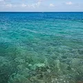 sea water, nota de perfume