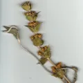 Sideritis, nota de perfume