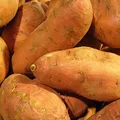 Sweet Potato, nota de perfume