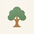 Sycamore, nota de perfume