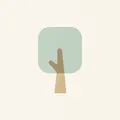 transparent woods, nota de perfume