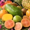 tropical fruit, nota de perfume