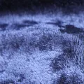 Velvet, nota de perfume