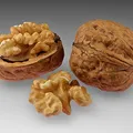 Walnut, nota de perfume