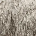 wool, nota de perfume