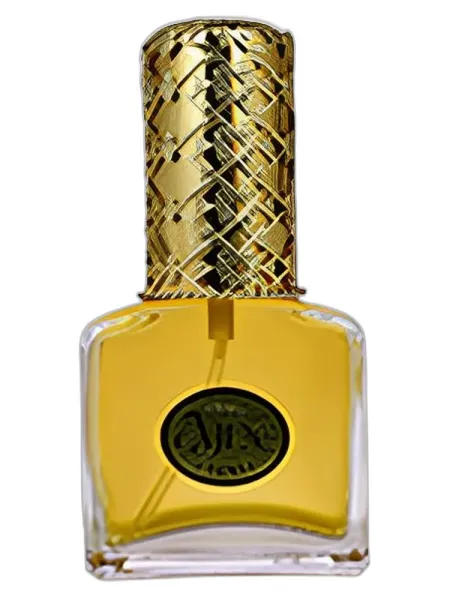 Frasco del perfume Ajne CoolBleu - Cool Blues unisex