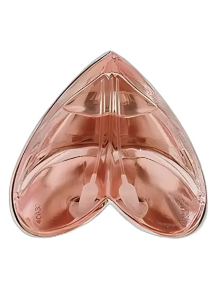 Frasco del perfume Alexander McQueen Kingdom Limited Edition