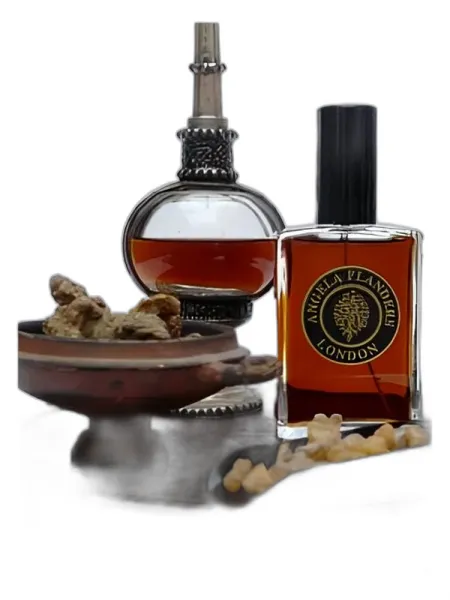Frasco del perfume Angela Flanders Amber Noir unisex