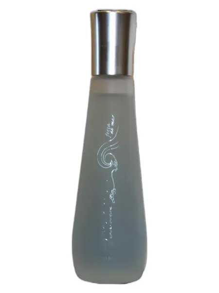 Frasco del perfume Avon Aguas e Brisas Forca do Mar