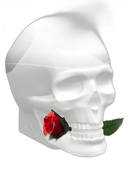Frasco del perfume Christian Audigier Ed Hardy Skulls & Roses for Her
