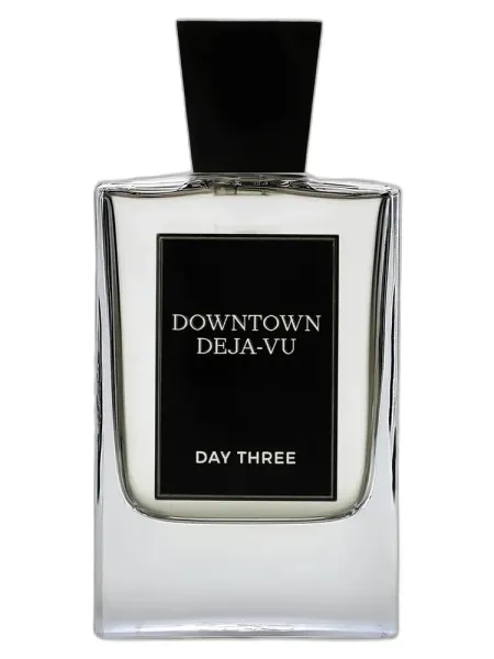 Frasco del perfume Day Three Downtown Deja-Vu unisex