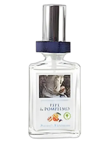 Frasco do perfume Derbe Pepe & Pompelmo unisex