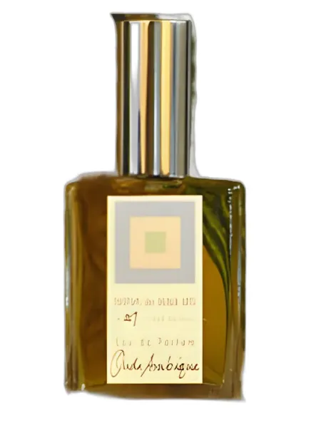 Frasco del perfume DSH Perfumes Oude Arabique unisex